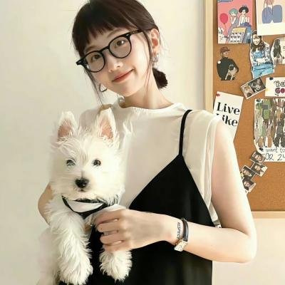 交通队的故事